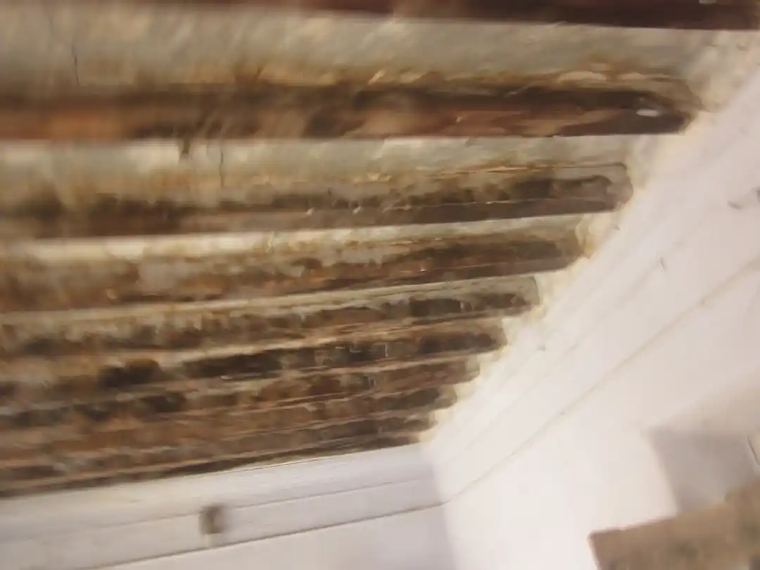 Arulmigu Subramaniyaswamy Temple, Nagaloor - 606203 அருள்மிகு சுப்ரமணியசுவாமி திருக்கோயில், நாகலூர் - 606203, Kallakurichi - Ancient Temple Architecture and History Image 3