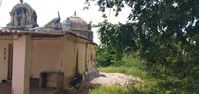 Arulmigu Subramaniyaswamy Temple, Parappatty - 621313 அருள்மிகு சுப்பிரமணியசுவாமி திருக்கோயில், Parappatty - 621313, Karur - Ancient Temple Architecture and History Image 4