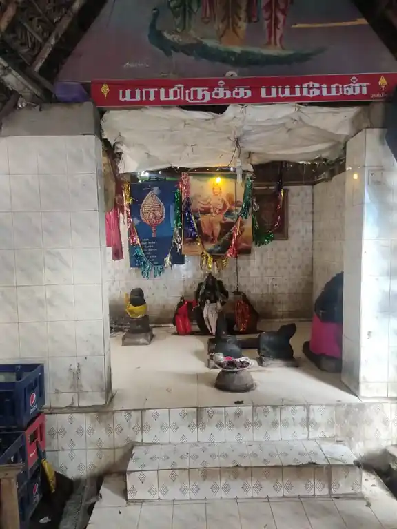 Arulmigu Subramaniyaswamy Temple, Periyakadaiveethi - 614616 அருள்மிகு சுப்பிரமணியசுவாமி திருக்கோயில், Periyakadaiveethi - 614616, Pudukkottai - Ancient Temple Architecture and History Image 3