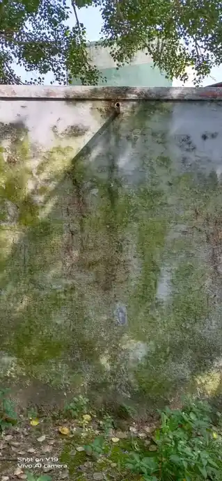 Arulmigu Subramaniyaswamy Temple, Periyathallappadi - 635307 அருள்மிகு சுப்ரமணியசாமி திருக்கோயில், Periyathallappadi - 635307, Krishnagiri - Ancient Temple Architecture and History Image 3