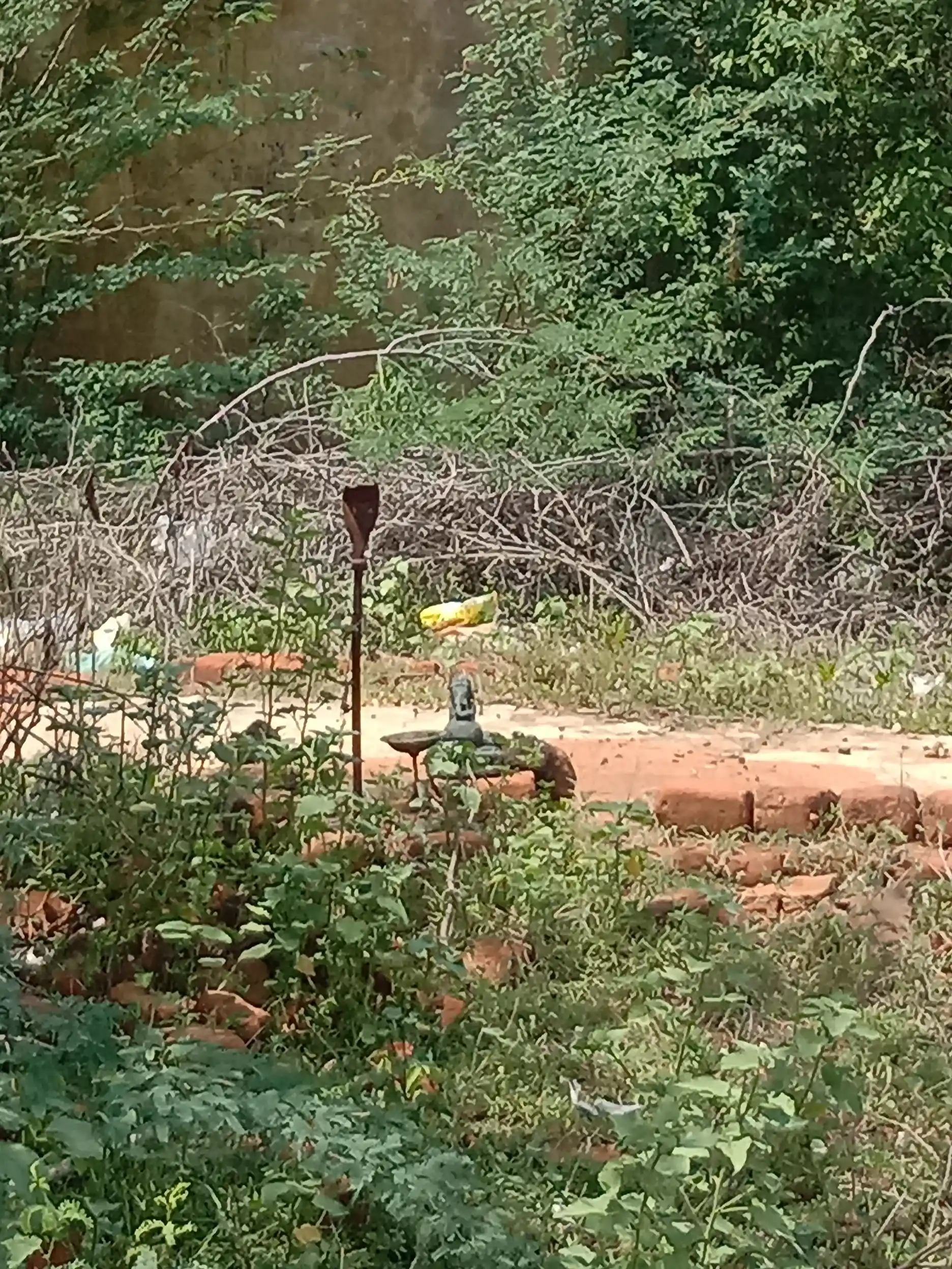 Arulmigu Subramaniyaswamy Temple, Seruvaviduthi - 614601 அருள்மிகு சுப்ரமணியசுவாமி திருக்கோயில், Seruvaviduthi - 614601, Thanjavur - Ancient Temple Architecture and History Image 2