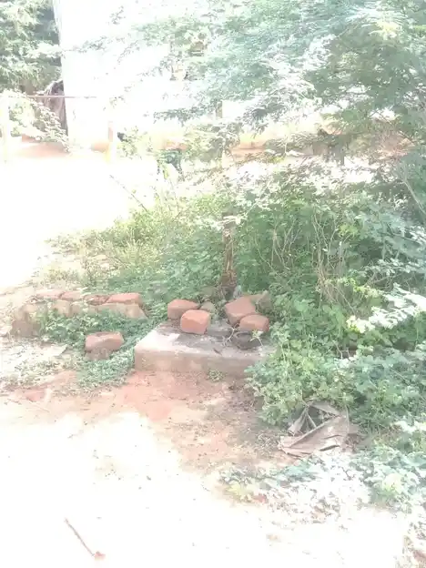 Arulmigu Subramaniyaswamy Temple, Seruvaviduthi - 614601 அருள்மிகு சுப்ரமணியசுவாமி திருக்கோயில், Seruvaviduthi - 614601, Thanjavur - Ancient Temple Architecture and History Image 3