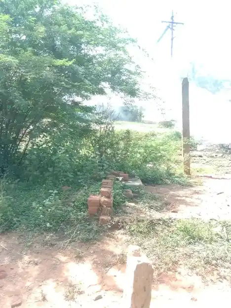 Arulmigu Subramaniyaswamy Temple, Seruvaviduthi - 614601 அருள்மிகு சுப்ரமணியசுவாமி திருக்கோயில், Seruvaviduthi - 614601, Thanjavur - Ancient Temple Architecture and History Image 4