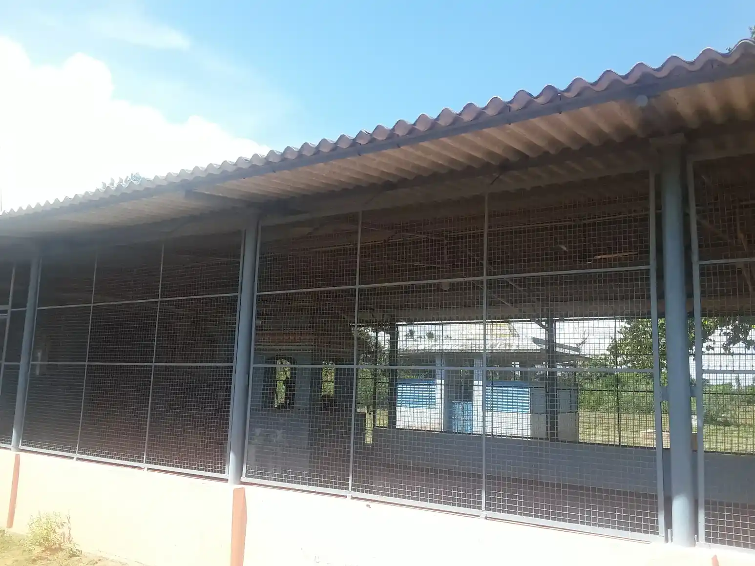 Arulmigu Subramaniyaswamy Temple, Tambikkottai Vadakadu - 614704