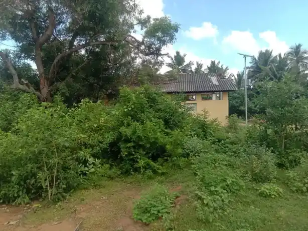 Arulmigu Subramaniyaswamy Temple, Tiruchitrambalam - 614601 அருள்மிகு சுப்ரமணியசுவாமி திருக்கோயில், Tiruchitrambalam - 614601, Thanjavur - Ancient Temple Architecture and History Image 4