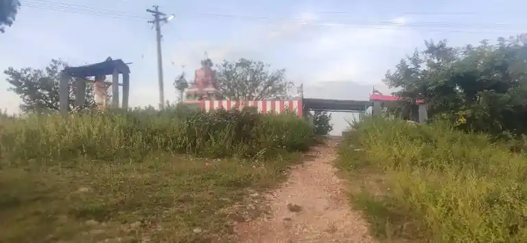 Arulmigu Subramaniyia Swamy Temple, Vellaikkavundanpalaiyam - 636701 அருள்மிகு சுப்பிரமணியசாமி திருக்கோயில், Vellaikkavundanpalaiyam - 636701, Dharmapuri - Ancient Temple Architecture and History Image 2