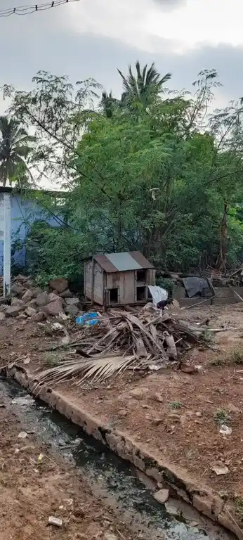 Arulmigu Sudalai Kaatha Vinayagar Temple, Ilathoor - 627809 Arulmigu Sudalai Kaatha Vinayagar Temple, Ilathoor - 627809, Tenkasi - Ancient Temple Architecture and History Image 2