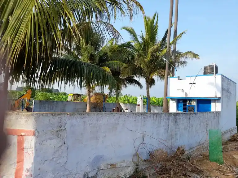 Arulmigu Sudalai Madaswamy Temple, Padalayarkulam - 627501 அருள்மிகு சுடலைமாடசாமி திருக்கோயில், Padalayarkulam - 627501, Tirunelveli - Ancient Temple Architecture and History Image 2