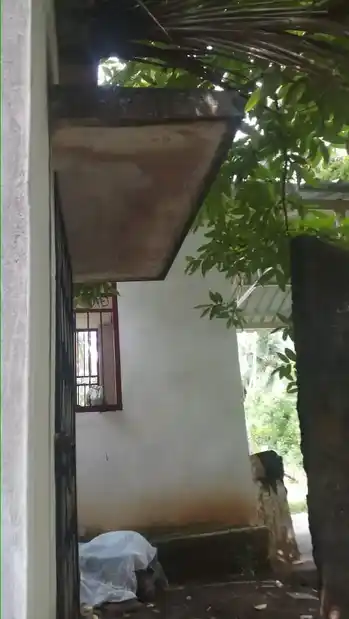 Arulmigu Sudalaimadasamy Temple, Vilankaatucheri, Thazhakudi - 629901 அருள்மிகு சுடலைமாடசுவாமி திருக்கோயில், Vilankaatucheri, Thazhakudi - 629901, Kanyakumari - Ancient Temple Architecture and History Image 4