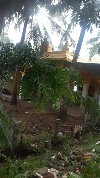 Arulmigu Sudalaimadaswamy Temple, Lekshmipuram, Anjugramam - 629802 அருள்மிகு சுடலைமாடசாமி திருக்கோயில், Lekshmipuram, Anjugramam - 629802, Kanyakumari - Ancient Temple Architecture and History Image 3