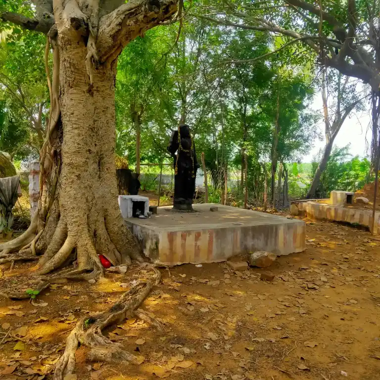 Arulmigu Sudalaimadaswamy Temple, Melamavadi - 627414 அருள்மிகு மேல்மாவடி சுடலைமாடசாமி திருக்கோயில், மேல்மாவடி - 627414, Tirunelveli - Ancient Temple Architecture and History Image 4