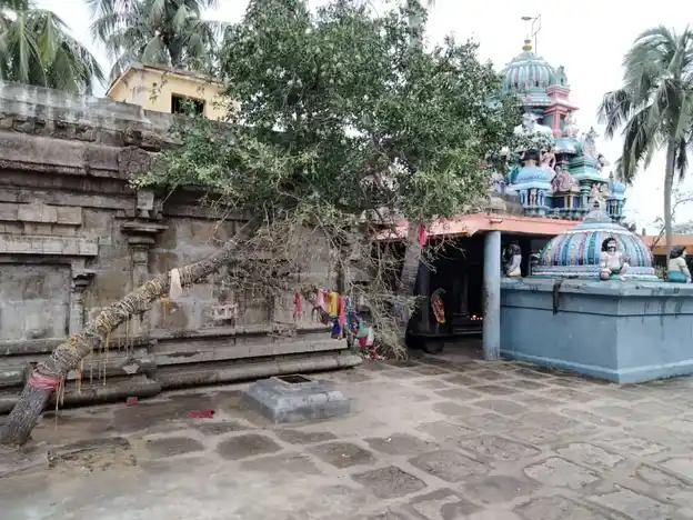 Arulmigu Suganthaparimaleswarar Temple, Thirumananjeri, Karambakudi Taluk - 622302 அருள்மிகு சுகந்தபரிமளேஸ்வரர் திருக்கோயில், திருமணஞ்சேரி, கறம்பக்குடி வட்டம் - 622302, Pudukkottai - Ancient Temple Architecture and History Image 2
