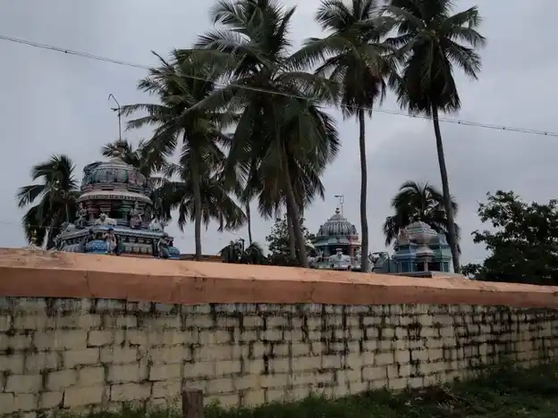 Arulmigu Suganthaparimaleswarar Temple, Thirumananjeri, Karambakudi Taluk - 622302 அருள்மிகு சுகந்தபரிமளேஸ்வரர் திருக்கோயில், திருமணஞ்சேரி, கறம்பக்குடி வட்டம் - 622302, Pudukkottai - Ancient Temple Architecture and History Image 10