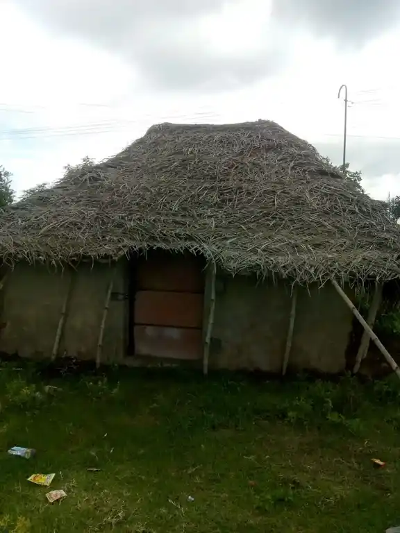Arulmigu Sukrieswar And Vanmekanathar Swamy Temple, Nalilondru - 613703 அருள்மிகு சுக்ரீஸ்வரர் மற்றும் வன்மீகநாதசுவாமி திருக்கோயில், Nalilondru - 613703, Thiruvarur - Ancient Temple Architecture and History Image 3