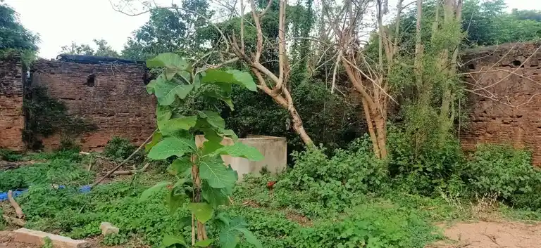 Arulmigu Sulthajiyappa Sattiram, Aladikkumulai - 614601 Arulmigu Sulthajiyappa Sattiram, Aladikkumulai - 614601, Thanjavur - Ancient Temple Architecture and History Image 9