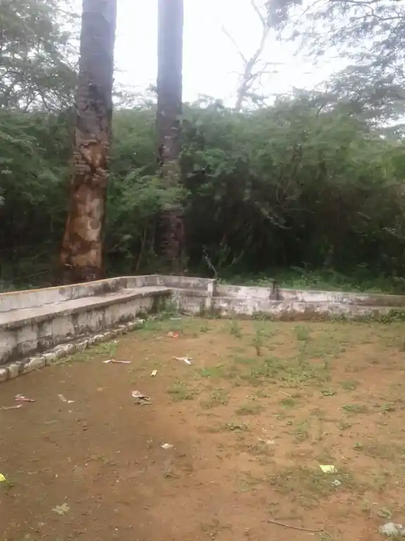Arulmigu Sundaikkattu Ayyanar Temple, Pottapatti - 625103