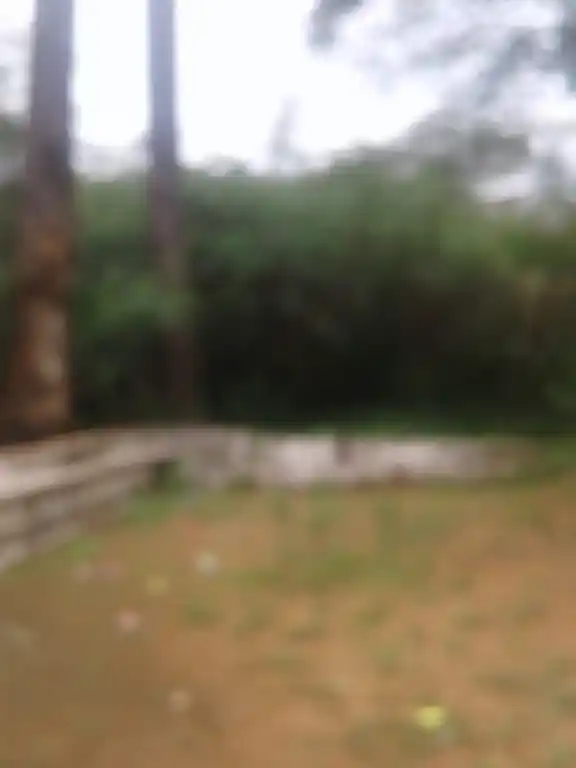 Arulmigu Sundaikkattu Ayyanar Temple, Pottapatti - 625103 அருள்மிகு சுண்டைக்காட்டு அய்யனார் கோயில், Pottapatti - 625103, Madurai - Ancient Temple Architecture and History Image 2