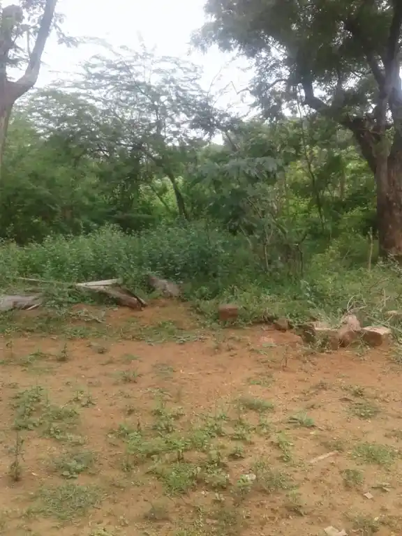 Arulmigu Sundaikkattu Ayyanar Temple, Pottapatti - 625103 அருள்மிகு சுண்டைக்காட்டு அய்யனார் கோயில், Pottapatti - 625103, Madurai - Ancient Temple Architecture and History Image 4