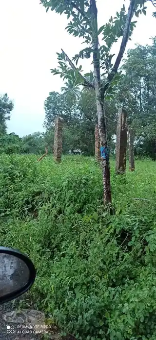 Arulmigu Sundakattusamy Temple, Thetthur, Maruthampatti - 621311 Arulmigu Sundakattusamy Temple, Thetthur, Maruthampatti - 621311, Thiruchirappalli - Ancient Temple Architecture and History Image 3