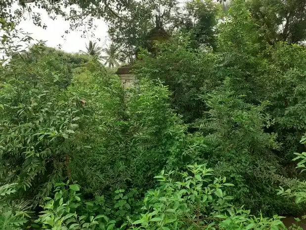 Arulmigu Sundara Vinayagar Temple, Kilamangalam - 614615