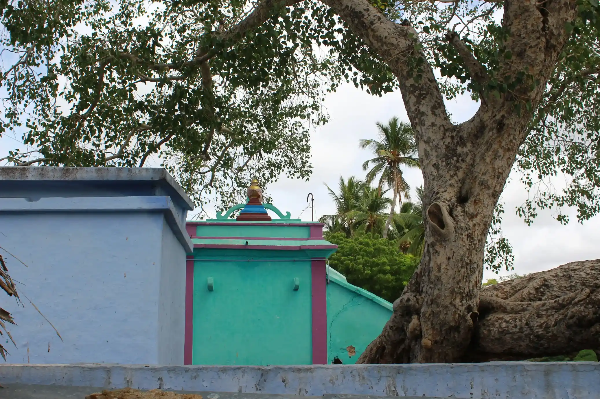 Arulmigu Sundara Vinayagar Temple, Near By Amman Temple, Karaieruppu - 627357 அருள்மிகு சுந்தர விநாயகர் திருக்கோயில், அம்மன் கோவில் அருகில், கரையிருப்பு - 627357, Tirunelveli - Ancient Temple Architecture and History Image 4