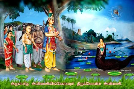 Arulmigu Sundaramoorthi Nayanar Temple, Avinashi - 641654 - Main View