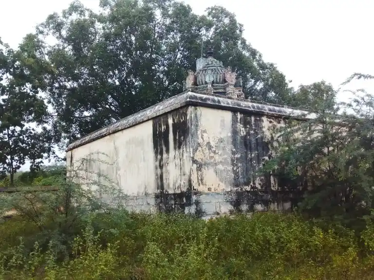 Arulmigu Sundaramoorthi Vinayagar Temple, Virachilai - 622412 அருள்மிகு சுந்தரமூர்த்தி விநாயகர் திருக்கோயில், Virachilai - 622412, Pudukkottai - Ancient Temple Architecture and History Image 5