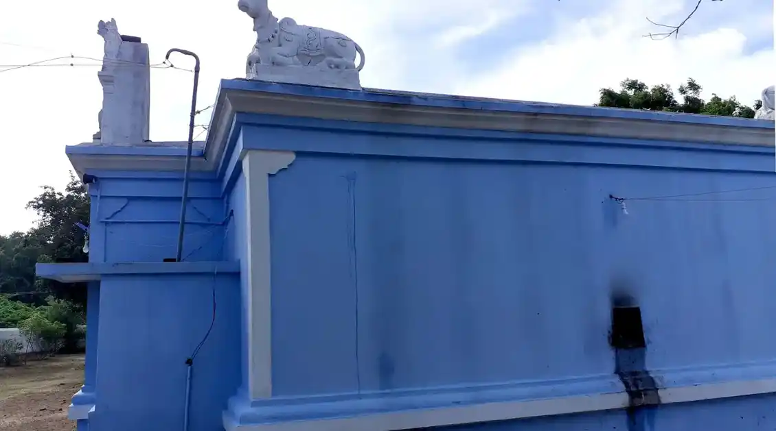 Arulmigu Sundararaja Perumal Temple And Kappeeswar Temple, Annathur - 603102 அருள்மிகு சுந்தரராஜப் பெருமாள் மற்றும் கப்பீஸ்வரர் திருக்கோயில், அன்னாத்தூர் - 603102, Kancheepuram - Ancient Temple Architecture and History Image 4