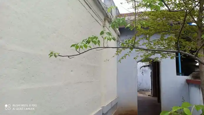 Arulmigu Sundararaja Perumal Temple, Pottalurani - 628601 அருள்மிகு சுந்தரராஜப் பெருமாள் திருக்கோயில், Pottalurani - 628601, Thoothukudi - Ancient Temple Architecture and History Image 5