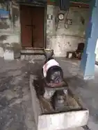 Arulmigu Sundarashwarer Swamy Temple, Kandramanikkam - 612604 அருள்மிகு சுந்தரேஸ்வரர் திருக்கோயில், கண்டிரமாணிக்கம் - 612604, Thiruvarur - Ancient Temple Architecture and History Image 2