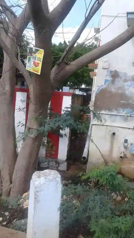 Arulmigu Sundaratchiamman Temple, Akilandapuram - 628716 அருள்மிகு சுந்தராட்சியம்மன் திருக்கோயில், Akilandapuram - 628716, Thoothukudi - Ancient Temple Architecture and History Image 4