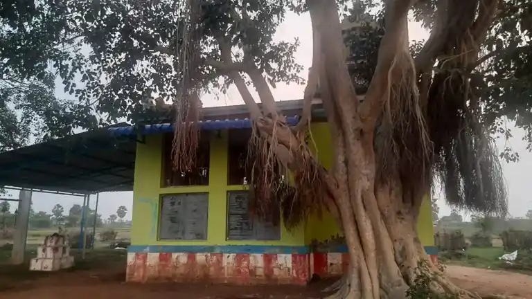 Arulmigu Sundaravalliamman Temple, Sinnamayakulam - 623515 அருள்மிகு சுந்தரவல்லியம்மன் திருக்கோயில், Sinnamayakulam - 623515, Ramanathapuram - Ancient Temple Architecture and History Image 5