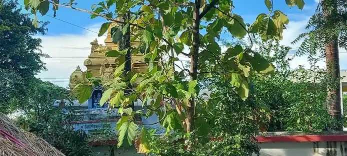 Arulmigu Sundaravinayagar Temple, Suvalpet, Arakkonam - 631001 அருள்மிகு சுந்தர விநாயகர் திருக்கோயில், சுவால்பேட்டை, அரக்கோணம் - 631001, Ranipet - Ancient Temple Architecture and History Image 4