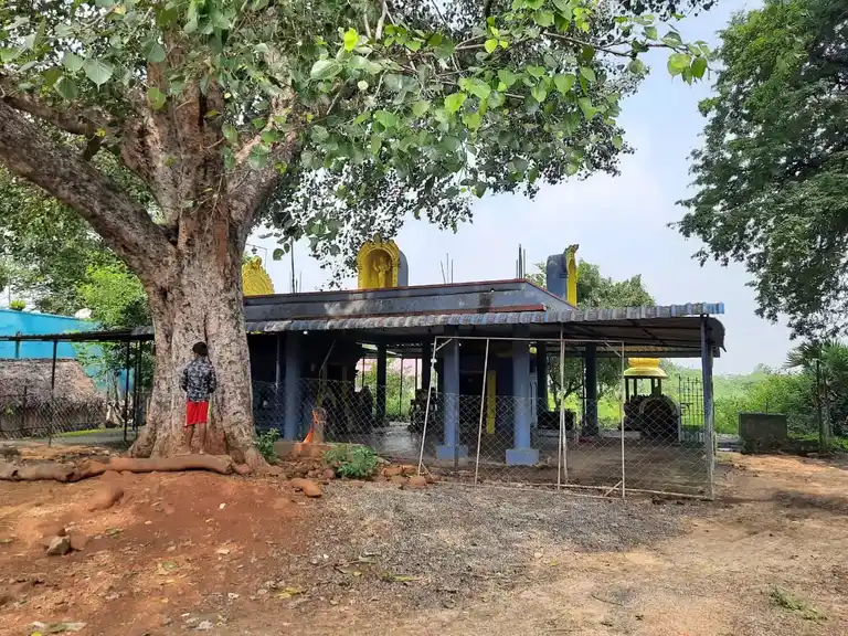 Arulmigu Sundareswarar Samy Temple, Centre Of The Village, Perungavoor - 601204 அருள்மிகு சுந்தரேஸ்வரர்சாமி ஆலயம், Centre Of The Village, Perungavoor - 601204, Tiruvallur - Ancient Temple Architecture and History Image 2