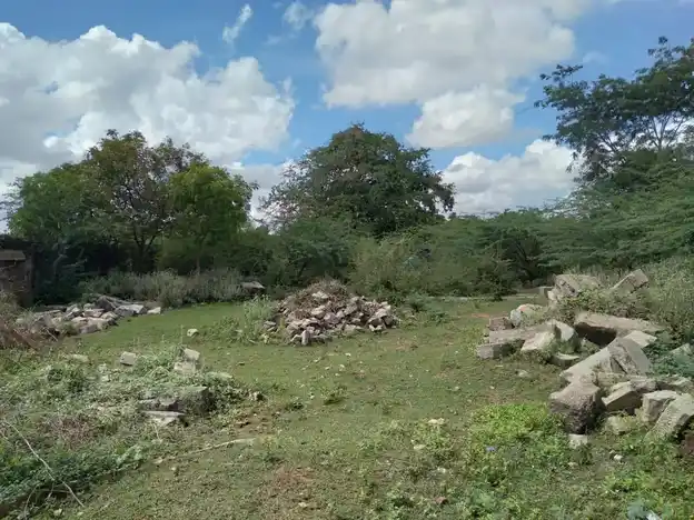 Arulmigu Sundareswarar Temple, Amaradakki - 614616 அருள்மிகு சுந்தரேஸ்வரர் திருக்கோயில், Amaradakki - 614616, Pudukkottai - Ancient Temple Architecture and History Image 3