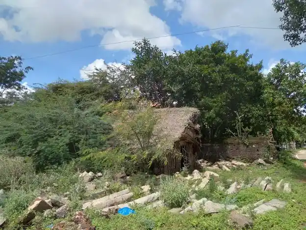 Arulmigu Sundareswarar Temple, Amaradakki - 614616 அருள்மிகு சுந்தரேஸ்வரர் திருக்கோயில், Amaradakki - 614616, Pudukkottai - Ancient Temple Architecture and History Image 6