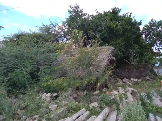 Arulmigu Sundareswarar Temple, Amaradakki - 614616 அருள்மிகு சுந்தரேஸ்வரர் திருக்கோயில், Amaradakki - 614616, Pudukkottai - Ancient Temple Architecture and History Image 7