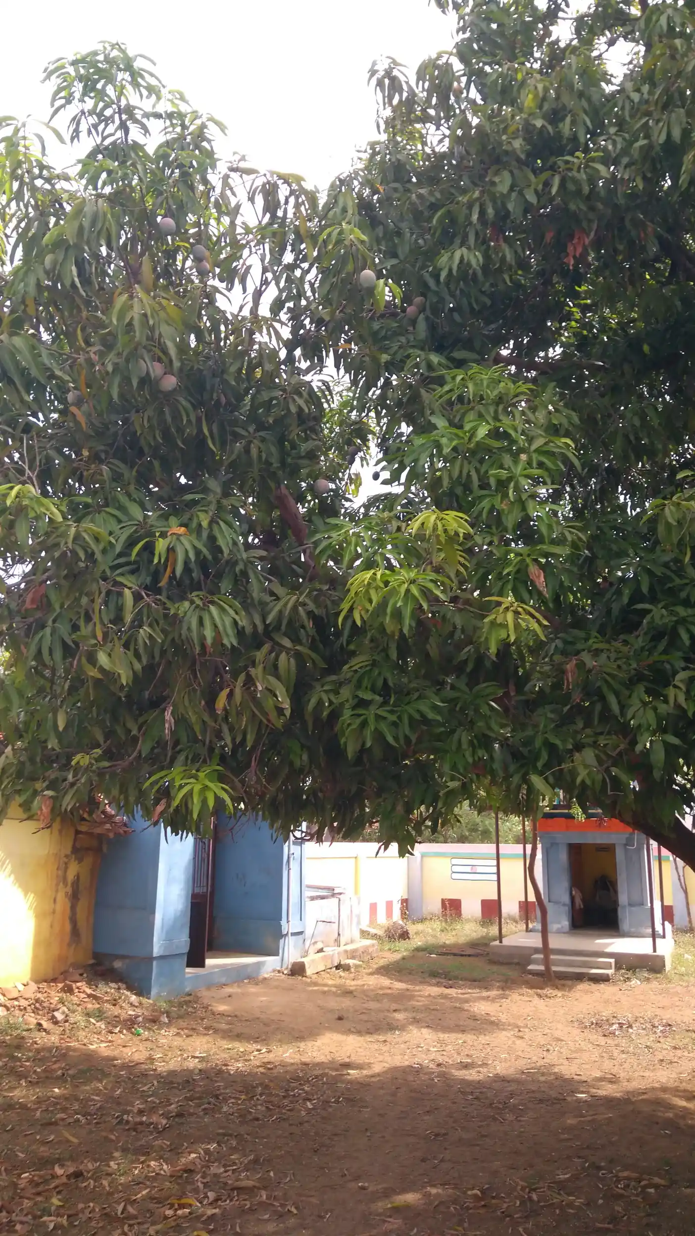 Arulmigu Sundareswarar Temple, Gunamangalam - 621701 அருள்மிகு சுந்தரேஸ்வரர் சீனிவாசப்பெருமாள் திருக்கோயில், குணமங்கலம் - 621701, Ariyalur - Ancient Temple Architecture and History Image 6