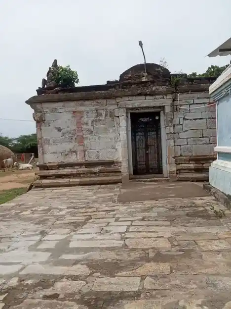 Arulmigu Sundarrajapperumal Temple, Theeyatthur - 614629 அருள்மிகு சுந்தர்ராஜப்பெருமாள் திருக்கோயில், தீயத்தூர், ஆவுடையார்கோவில் வட்டம் - 614629, Pudukkottai - Ancient Temple Architecture and History Image 6