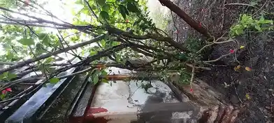 Arulmigu Sundhara Vinayagar Temple, Sirukaranai - 603301 அருள்மிகு சுந்தர விநாயகர் திருக்கோயில், Sirukaranai - 603301, Chengalpattu - Ancient Temple Architecture and History Image 4