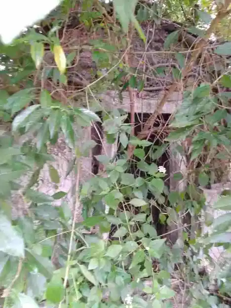 Arulmigu Sundhara Vinayagar Temple, Thenpattinam - 603305