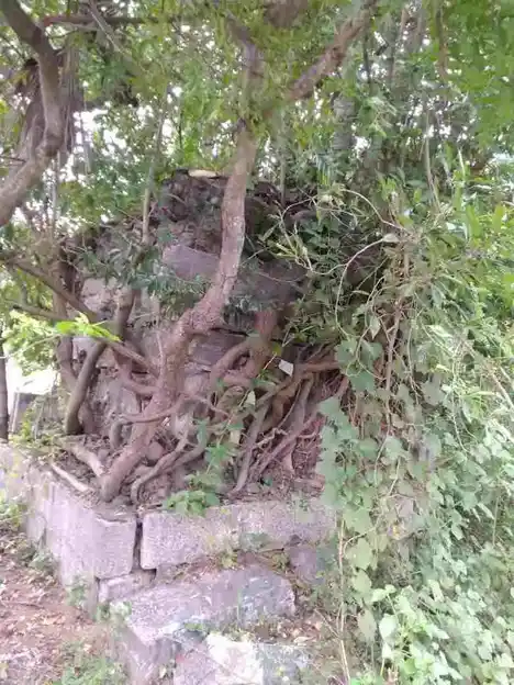 Arulmigu Sundhara Vinayagar Temple, Thenpattinam - 603305 அருள்மிகு சுந்தரவிநாயகர் திருக்கோயில், Thenpattinam - 603305, Chengalpattu - Ancient Temple Architecture and History Image 2