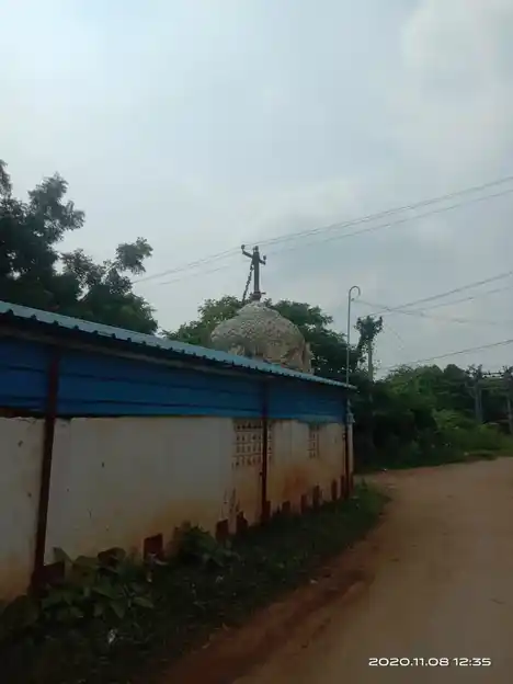 Arulmigu Sundhareshwarar Temple, Vellore, Thanjavur - 613002 அருள்மிகு சுந்தரேஸ்வரர் சுவாமி திருக்கோயில், Vellore, Thanjavur - 613002, Thanjavur - Ancient Temple Architecture and History Image 2