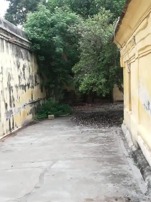 Arulmigu Suntharaja Perumal Temple, Perumpuliyur - 613203 அருள்மிகு சுந்தரராஜபெருமாள் திருக்கோயில், Perumpuliyur - 613203, Thanjavur - Ancient Temple Architecture and History Image 6