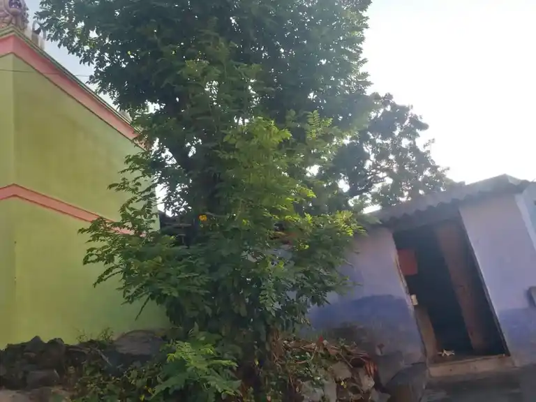 Arulmigu Suthirakaragam Temple, Nallur - 635118 அருள்மிகு சூத்திர கரகம் திருக்கோயில், Nallur - 635118, Krishnagiri - Ancient Temple Architecture and History Image 4