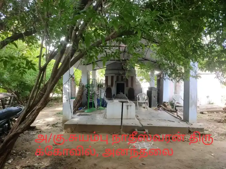 Arulmigu Suyambu Natheeswarar Temple, Ananthalai - 632513 Temple