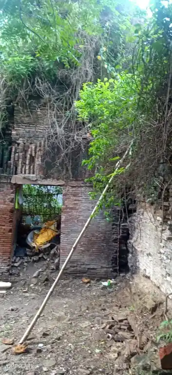 Arulmigu Suyambunadhaswami Vedhanarayanapperumal Temple, Vazhkkai - 610105 அருள்மிகு சுயம்புநாதசுவாமி வேதநாராயணப்பெருமாள் திருக்கோயில், Vazhkkai - 610105, Thiruvarur - Ancient Temple Architecture and History Image 7