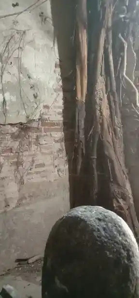 Arulmigu Suyampunathaswamy Temple, Arivaloor - 609401 Arulmigu Suyampunathaswamy Temple, Arivaloor - 609401, Mayiladuthurai - Ancient Temple Architecture and History Image 4