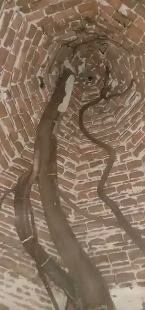 Arulmigu Suyampunathaswamy Temple, Arivaloor - 609401 Arulmigu Suyampunathaswamy Temple, Arivaloor - 609401, Mayiladuthurai - Ancient Temple Architecture and History Image 8