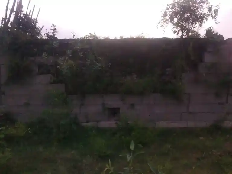 Arulmigu Suzhambunatheeshwarar Temple, Mullandram - 632301 அருள்மிகு சுயம்புநாதீஸ்வரர் திருக்கோயில், Mullandram - 632301, Tiruvannamalai - Ancient Temple Architecture and History Image 2